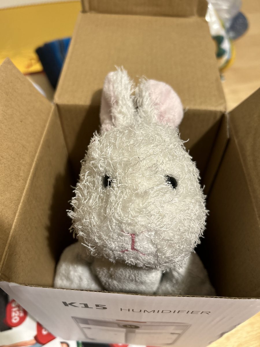 Niny in a box