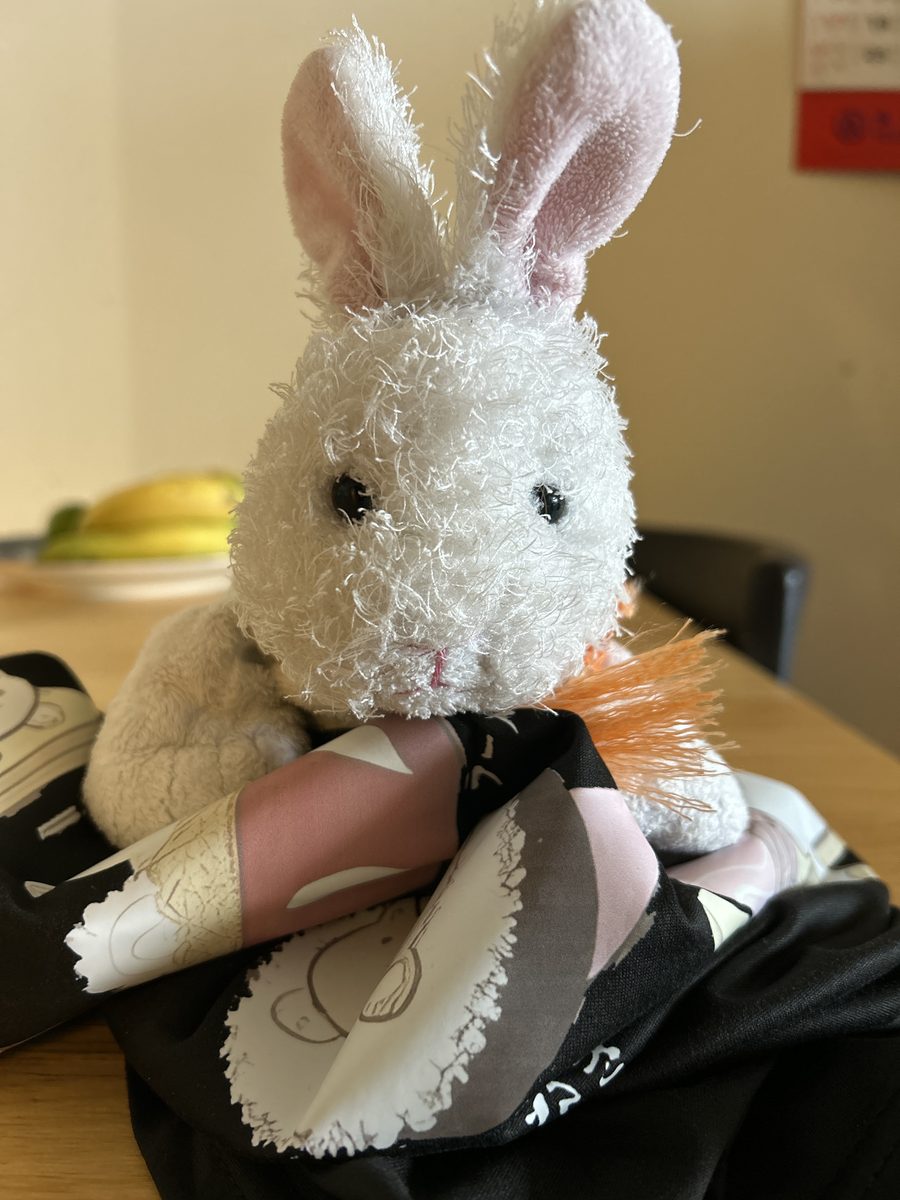 Niny and the legendary giant carrot