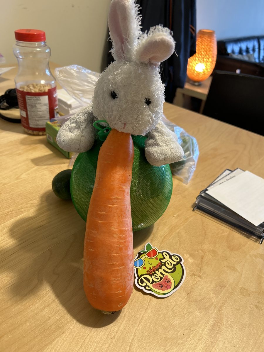 Niny with her carrot companion